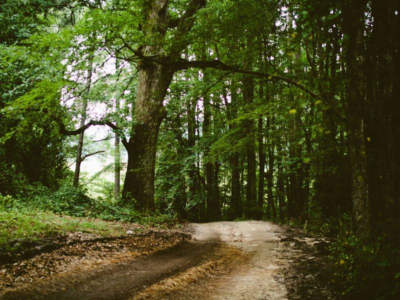 sudoku error checking screenshot 3